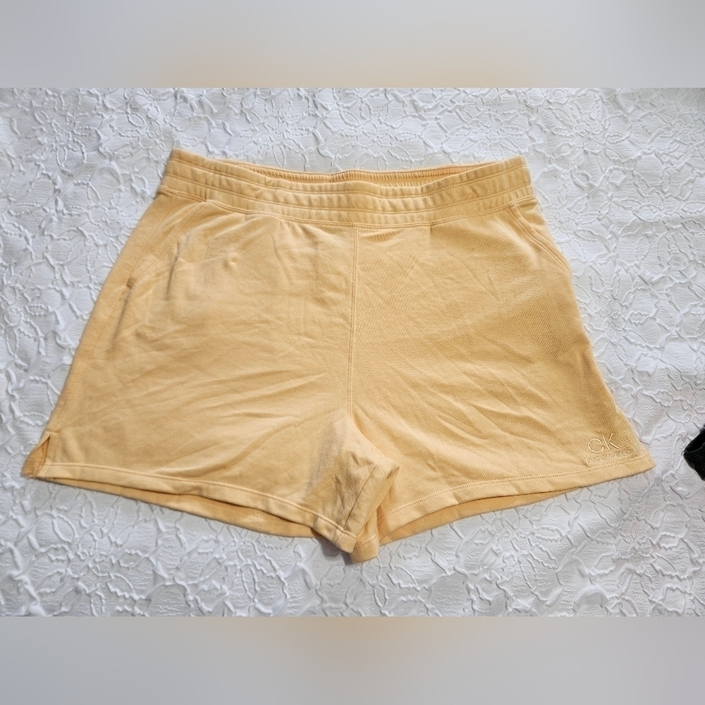 NWT Calvin Klein Performance Shorts size XXL